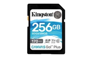 Memoria Kingston Sdxc Canvas Go! Plus 170rc10 Uhs-i U3 V30(sdg3/256gb)