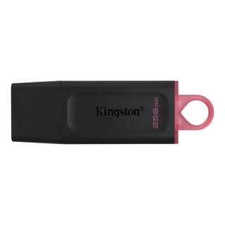 Memoria Usb Kingston Technology Dtx/256gb Negro