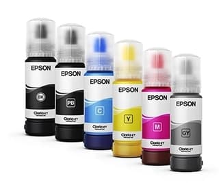 Cartucho Epson T555120-Al Black Dye