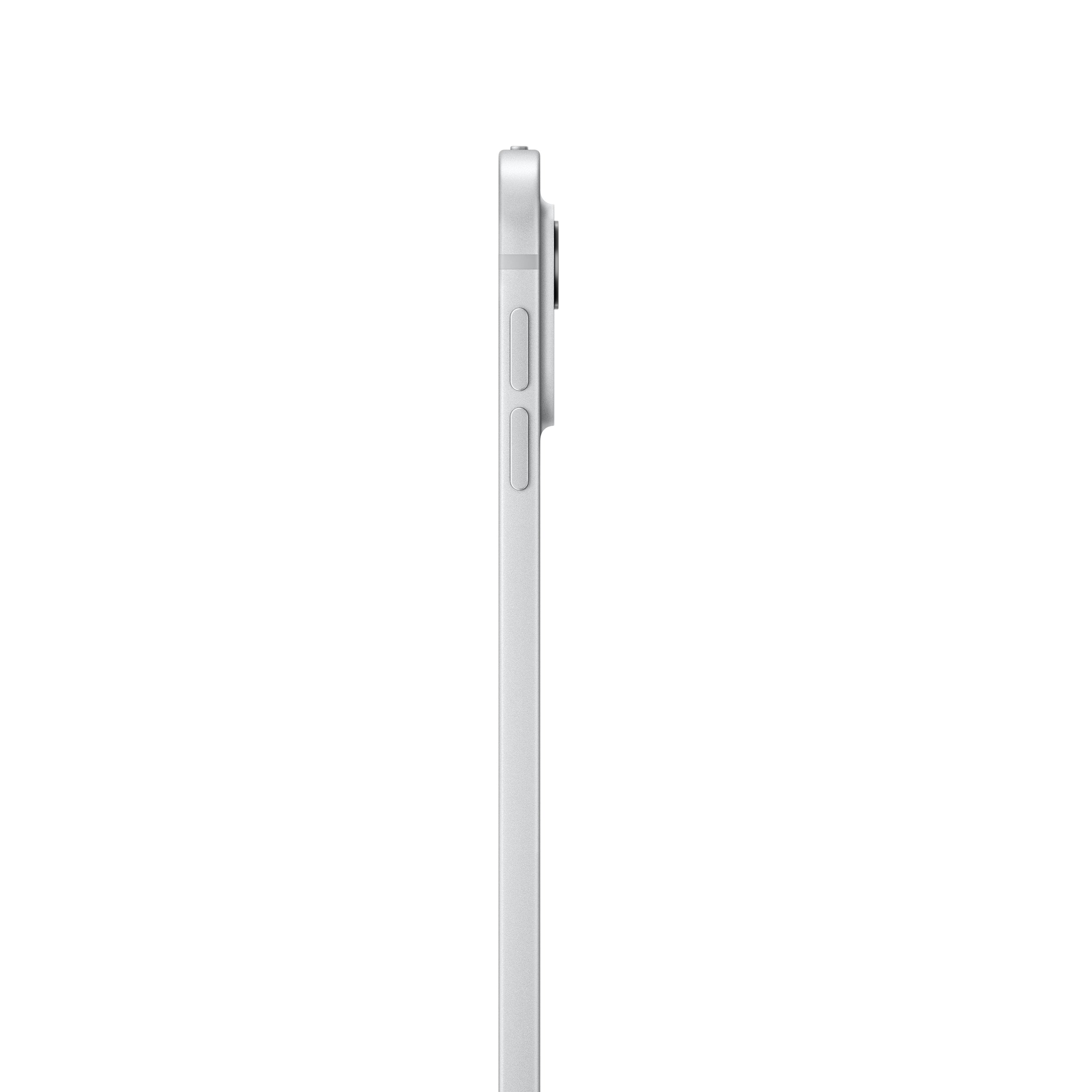 Ipad P 13In Wi-Fi -Cellular 1 Tb With Standard Glass - Silver