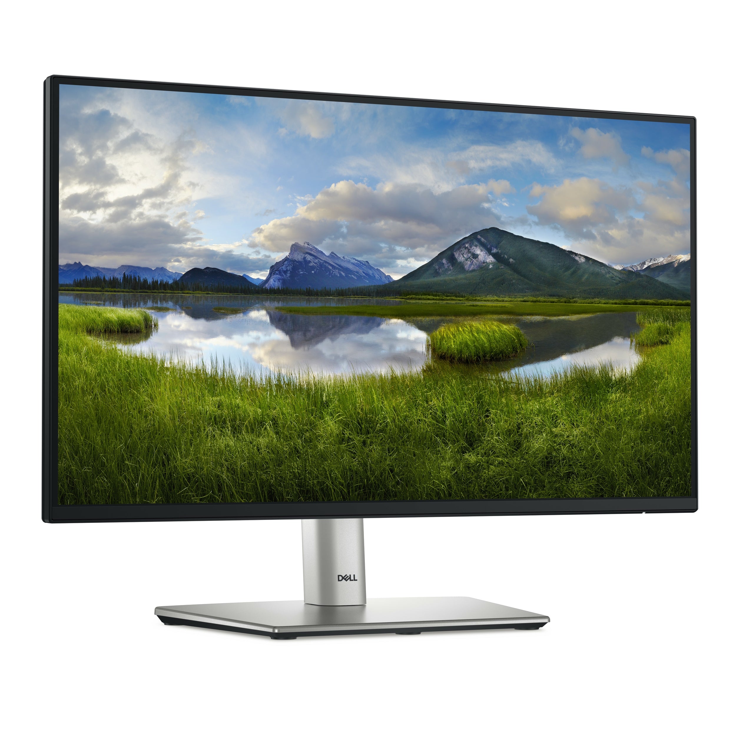 Monitor Led Dell P2225H | 21.5 Pulgadas Full Hd | 1920 X 1080 | 100Hz | Hdmi, Vga, Dp | 210-Blxj