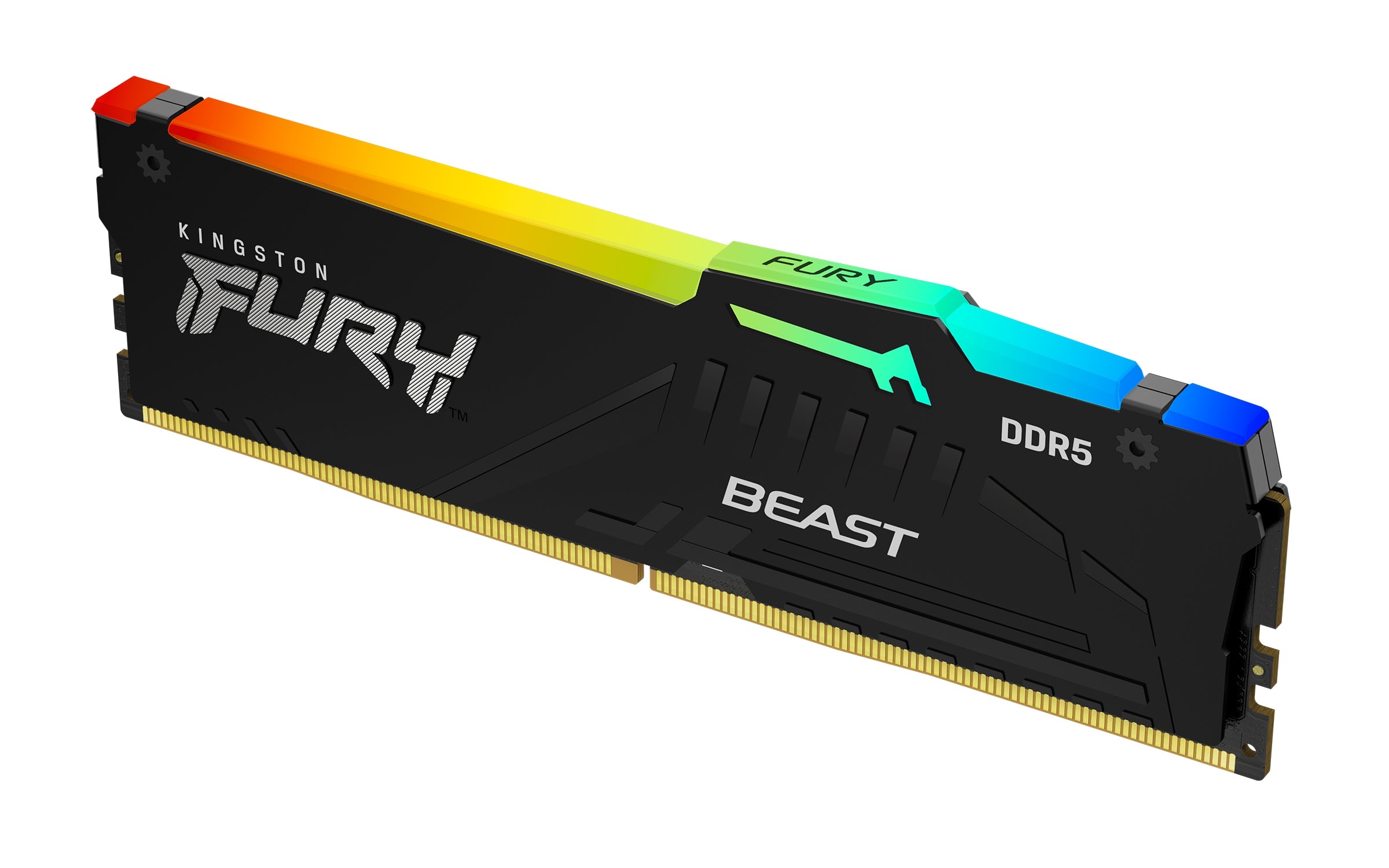 Memoria Ram Kingston Fury Beast Ddr5 Black Expo 16Gb 5600Mhz Cl36 Rgb (Kf552C36Bbea-16)