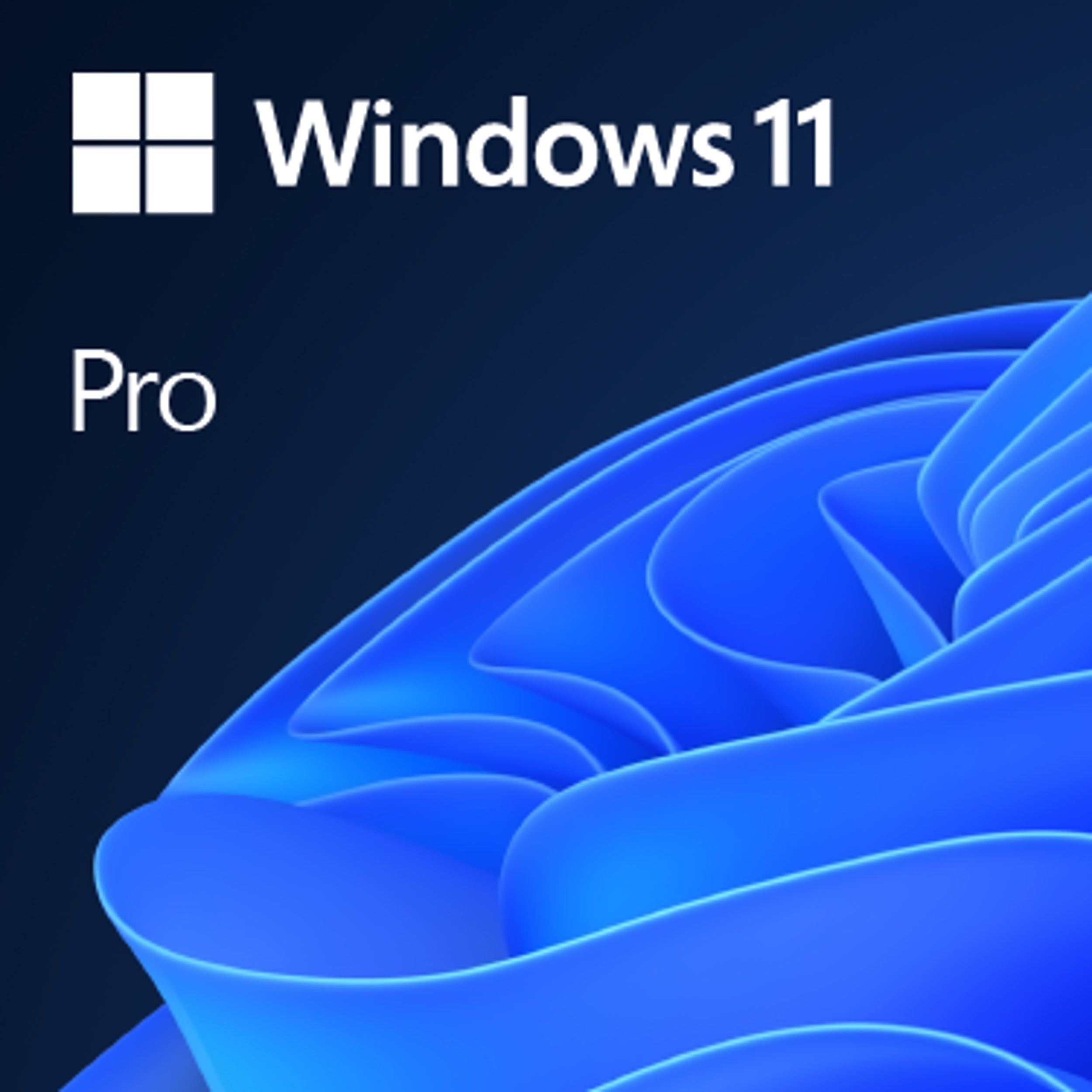 Microsoft Kit De Legalización Windows 11 Pro 64Bit Esp Lat (4Yr-00341)