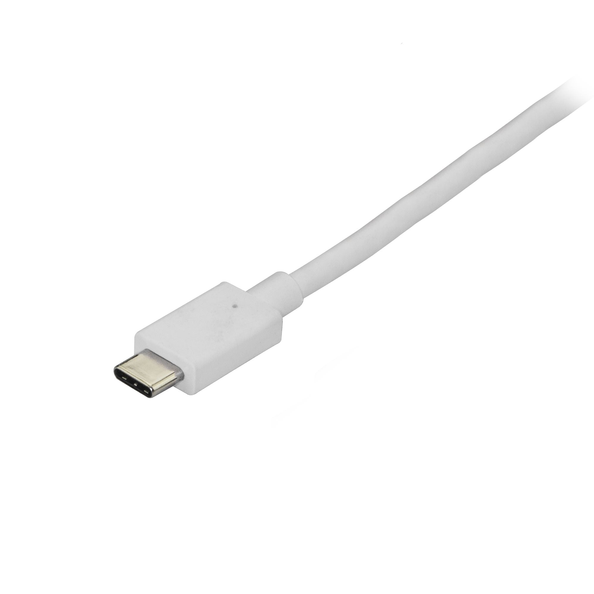 Cable Adaptador De 1.8M Usb-C A A Displayport 4K 60Hz Blanco