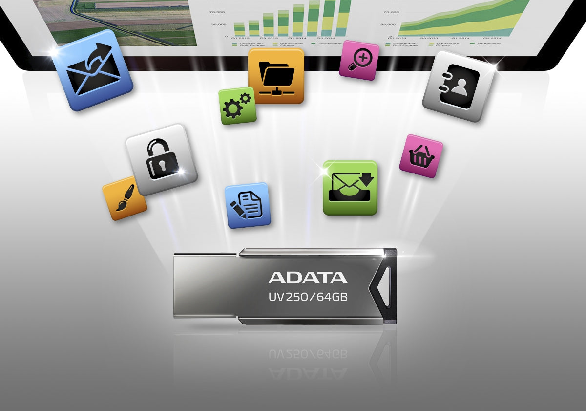 Memoria Usb 2.0 Adata Uv250 Auv250-16G-Rbk Plata Gb Tipo