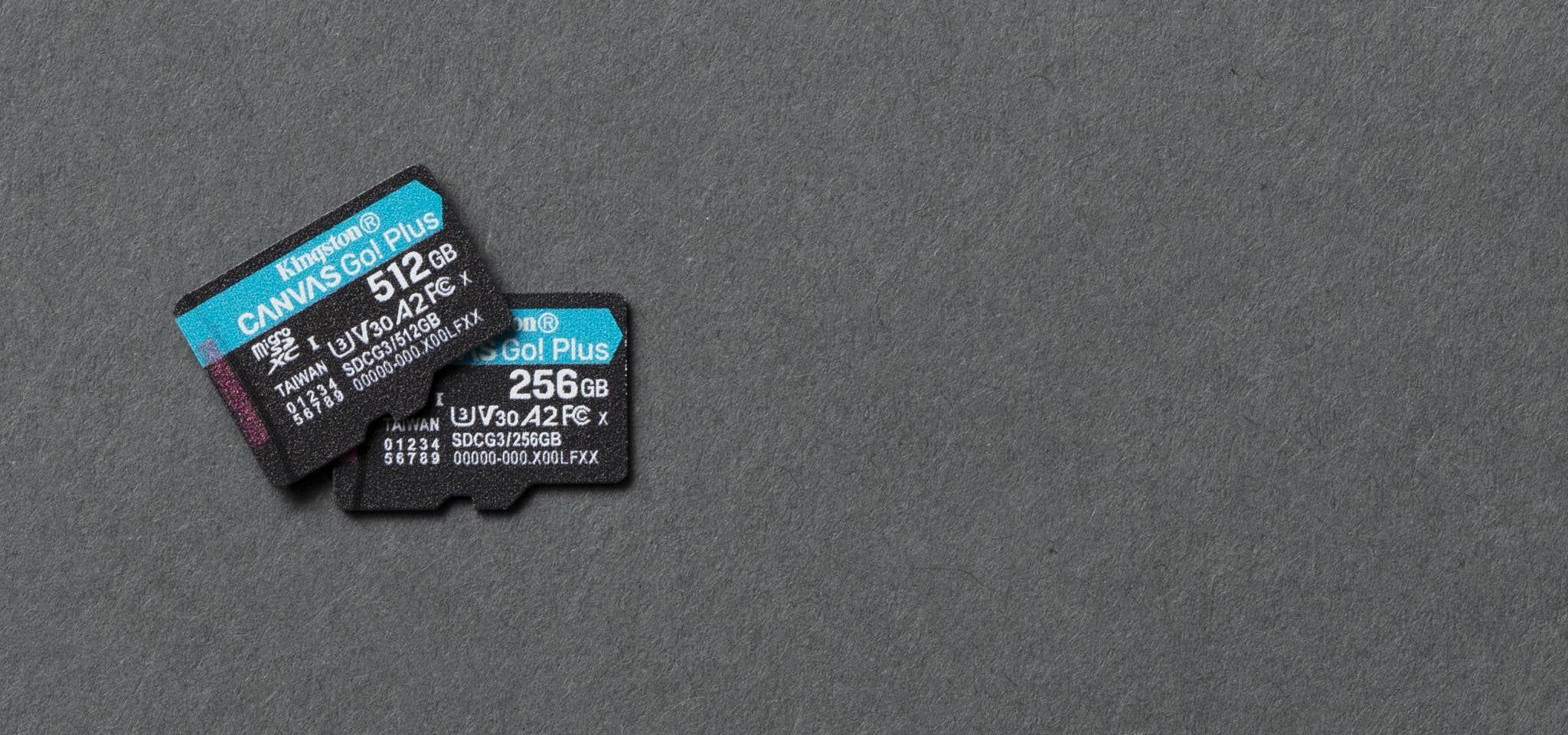 Micro Sd Kingston Technology Canvas Go! Plus Memoria Microsd 256Gb R.170Mb/S W.90Mb/S Cl10 Uhs-I U3 V30 A2